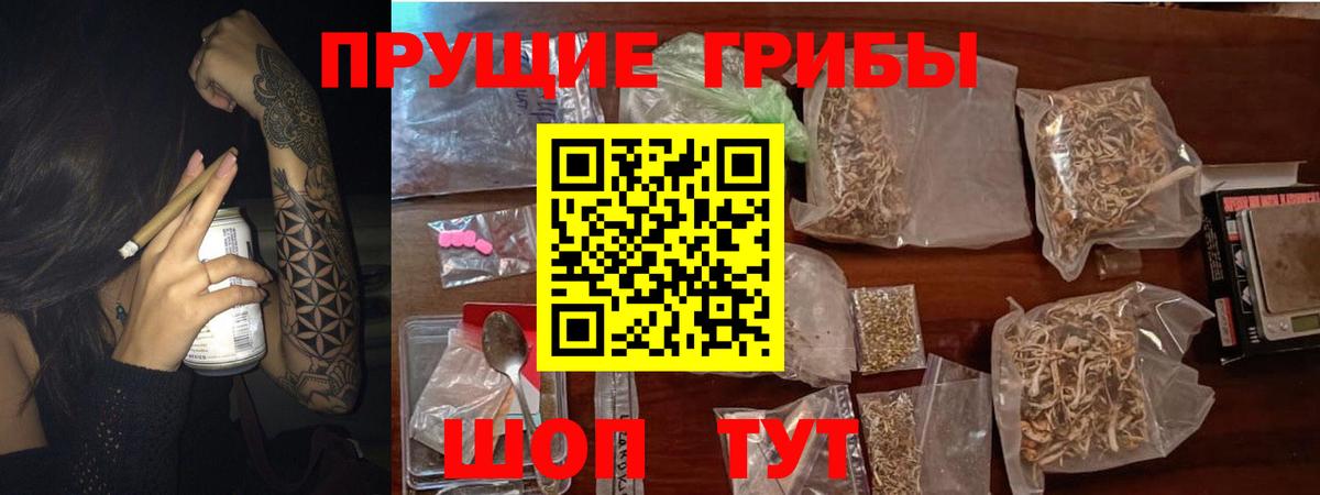 Чайковский  Псилоцибиновые грибы Magic Shrooms  Вход с VPN  Псилоцибиновые грибы Psilocybine cubensis 