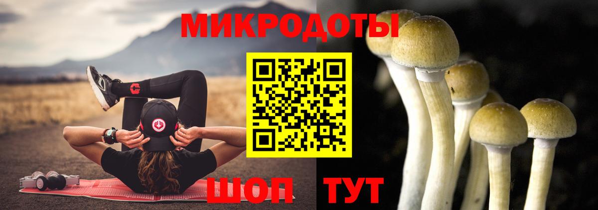 Галлюциногенные грибы ЛСД Чайковский